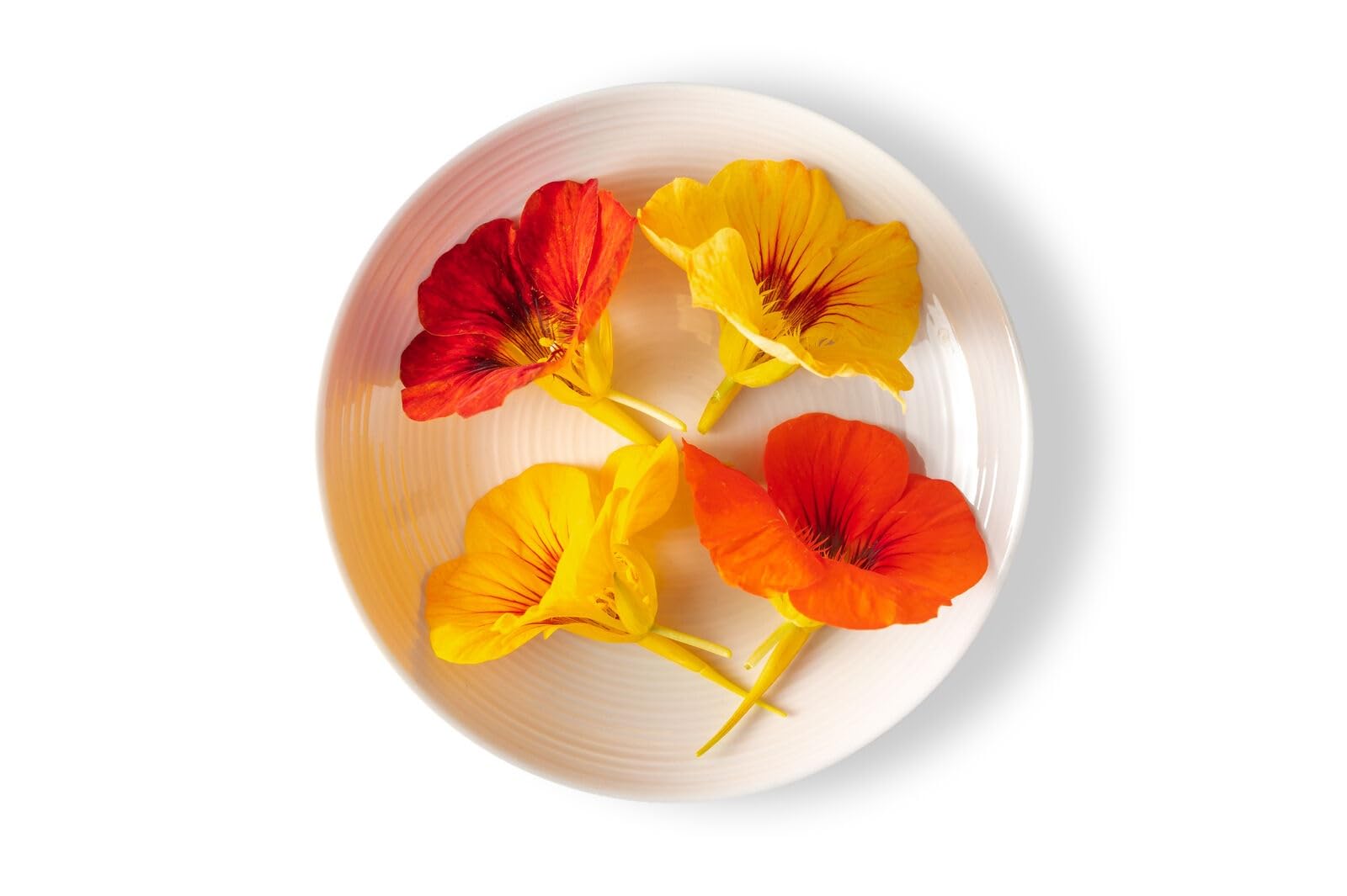 Sunflower Microgreens